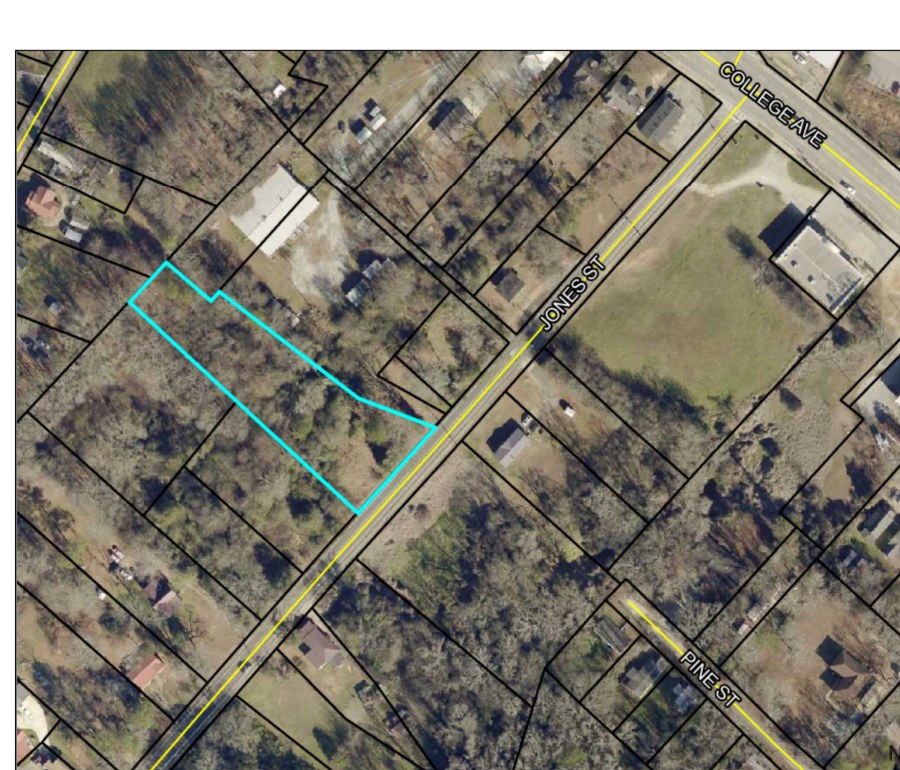 Parcel map, Jones Street lots in Elberton, Georgia